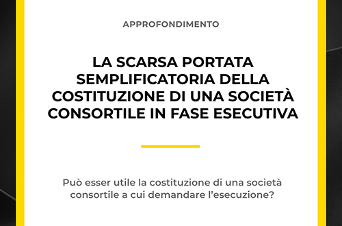 Grafica su costituzione di una società consortile in fase esecutiva, studio Zoppolato.