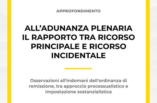 Grafica approfondimento sul rapporto tra ricorso principale e ricorso incidentale - Adunanza Plenaria.