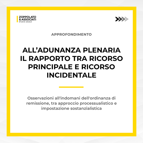 Grafica approfondimento sul rapporto tra ricorso principale e ricorso incidentale - Adunanza Plenaria.