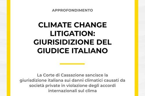 Climate Change Litigation
